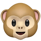 🐵