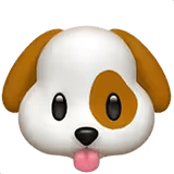 🐶