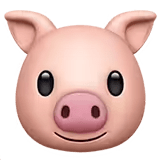 🐷