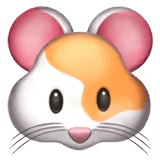 🐹