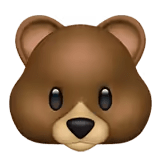 🐻
