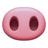 🐽