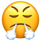 😤