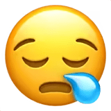 ๐ช