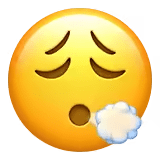 😮💨
