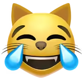 😹