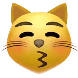 😽