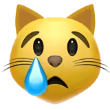 😿