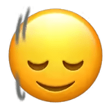 🙂↕️