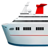 🛳️