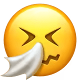 🤧