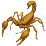 🦂