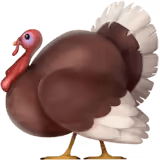 π¦