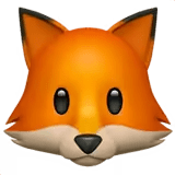 ๐ฆ