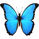 🦋