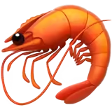 🦐