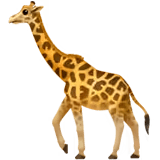 🦒