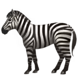 🦓