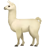🦙