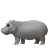 🦛