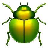 ๐ชฒ