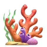 πͺΈ