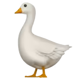 ๐ชฟ
