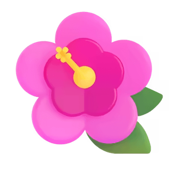 🌺