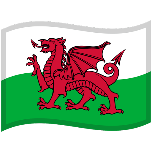 🏴