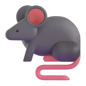 🐀