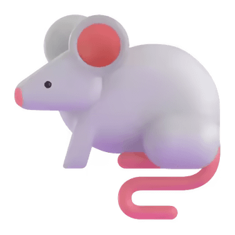 🐁
