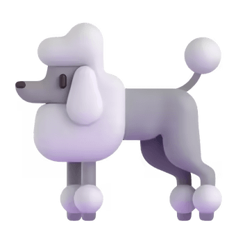 🐩