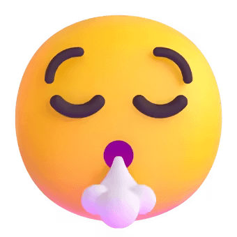 😮💨
