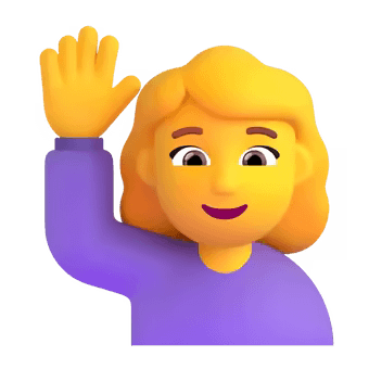 🙋♀️