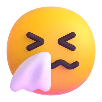 🤧