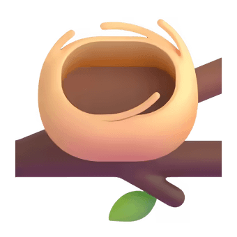 🪹