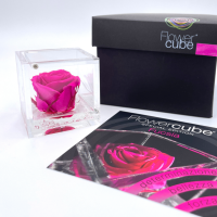 FlowerCube Fucsia - Immagine 2