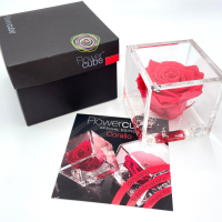 FlowerCube Corallo - Immagine 3