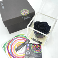FlowerCube Nero - Immagine 3