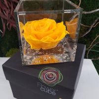 FlowerCube Giallo - Immagine 1