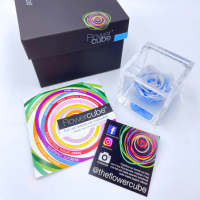 FlowerCube Azzurro - Immagine 2
