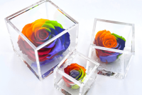 FlowerCube ARCOBALENO - Immagine 1