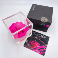 FlowerCube Fucsia - Immagine 4