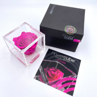 FlowerCube Fucsia - Immagine 3