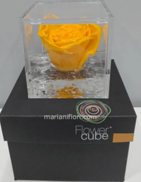FlowerCube Giallo - Immagine 3