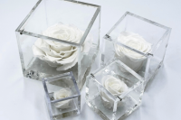 FlowerCube Bianco - Immagine 1