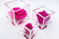 FlowerCube Fucsia - Immagine 1