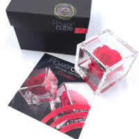 FlowerCube Corallo - Immagine 2
