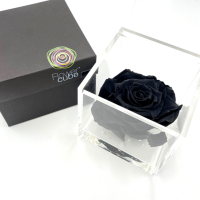 FlowerCube Nero - Immagine 4