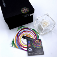 FlowerCube Bianco - Immagine 2